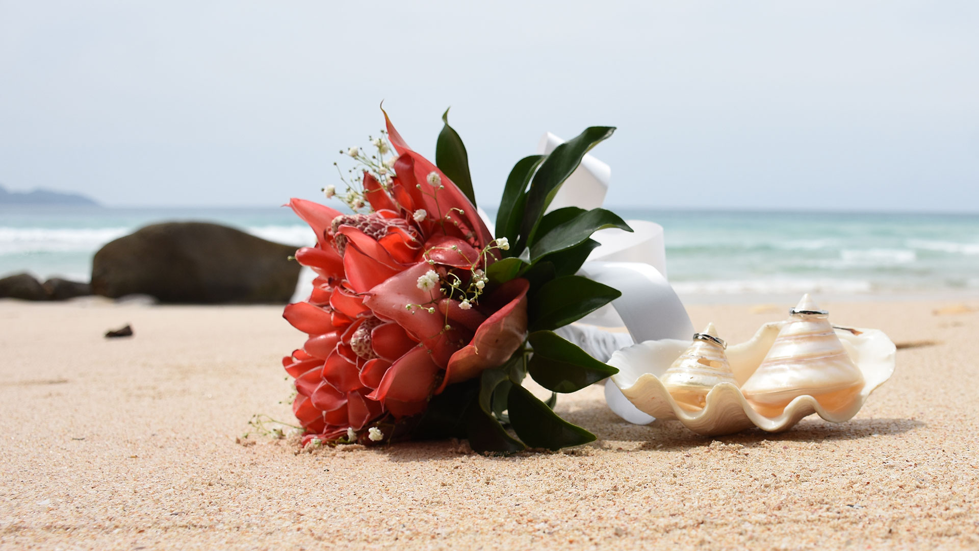 Speedy In Room Wedding package @ 850$